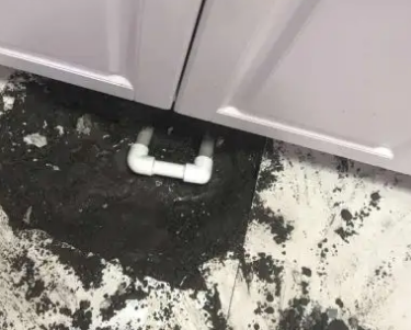 罗湖查漏水哪家好
